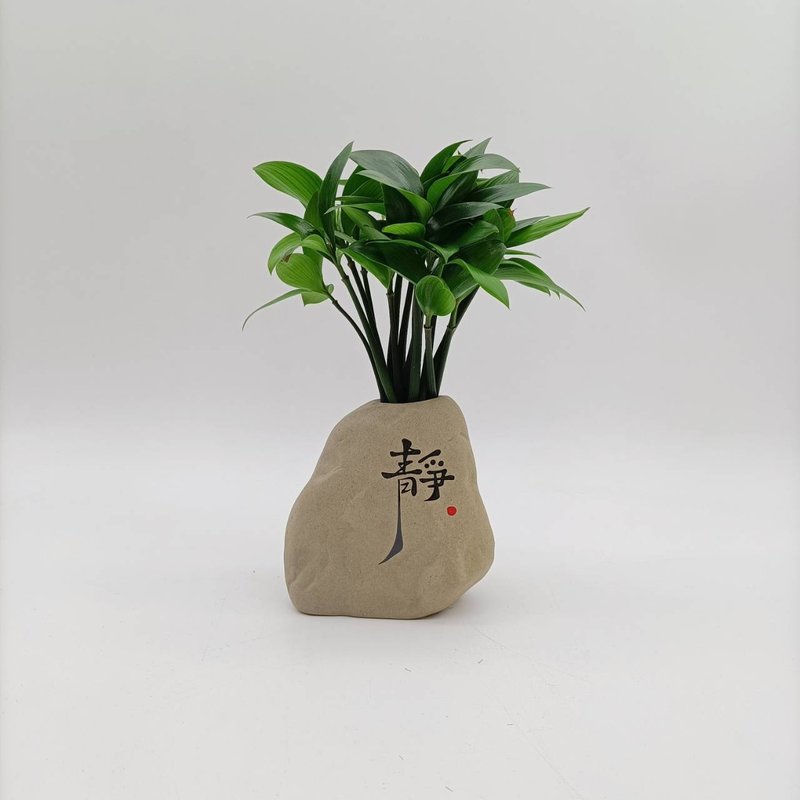 竹柏植栽 陶艺小佛祖 奇木 黑檀原木垫 - 植栽/盆栽 - 植物．花 