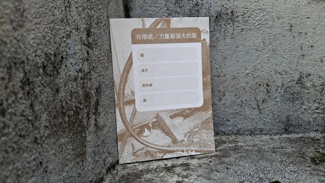 黑洞猫咪问答 Cat Postcard 猫摄影明信片 三八痣猫咪春丽 金Gold - 卡片/明信片 - 纸 金色
