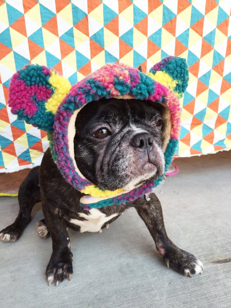 紫色迷彩小熊帽 - 衣/帽 - 棉．麻 紫色