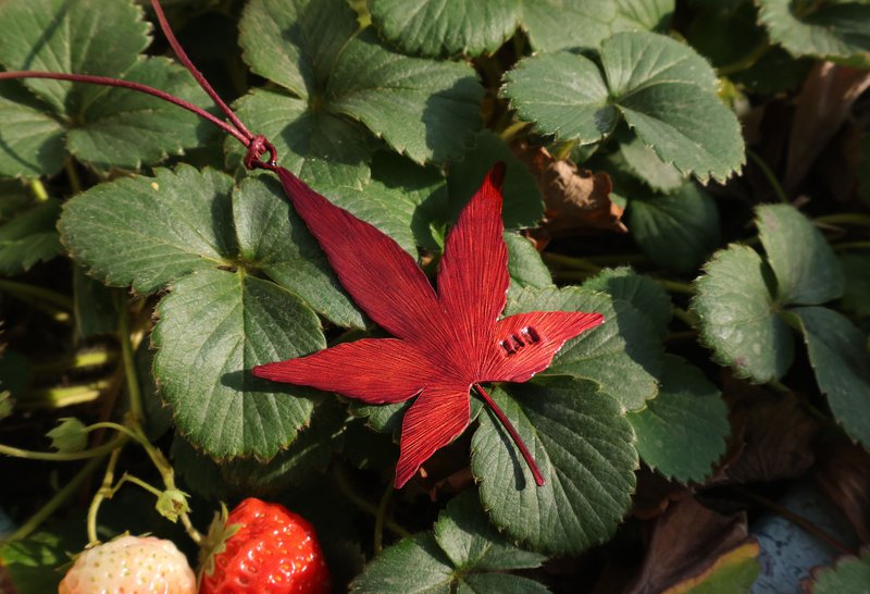 【订制】枫叶书签|红铜|纯手工|定制化|叶片书签|手作礼物|生日礼 - 书签 - 铜/黄铜 红色