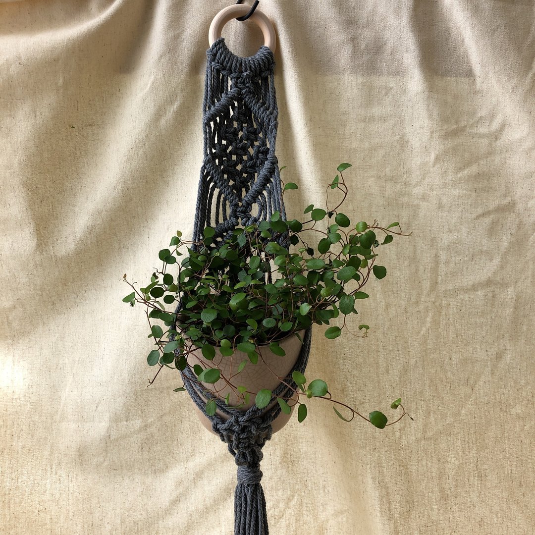 织 物 -盆栽编织吊钵/ 壁饰/ 挂篮 - 植栽/盆栽 - 棉 灰色