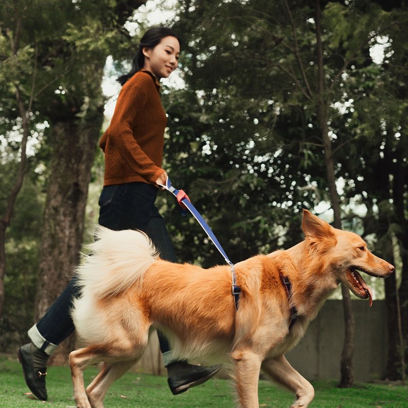 【tails&me 尾巴与我】新经典系列 犬猫共用标准牵绳(双色 共6色) - 项圈/牵绳 - 尼龙 多色