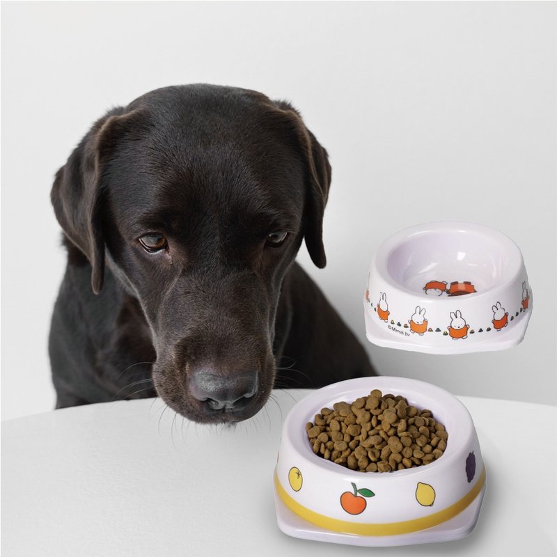 【MIFFYx株式会社スリーアローズ】宠物餐碗 宠物碗 宠物餐具 碗 - 碗/碗架 - 其他材质 