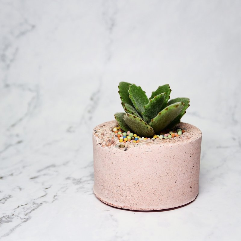 ∣磨石子缺口造型多肉泥盆∣手作泥盆/造型植栽/接单订制 - 植栽/盆栽 - 水泥 粉红色