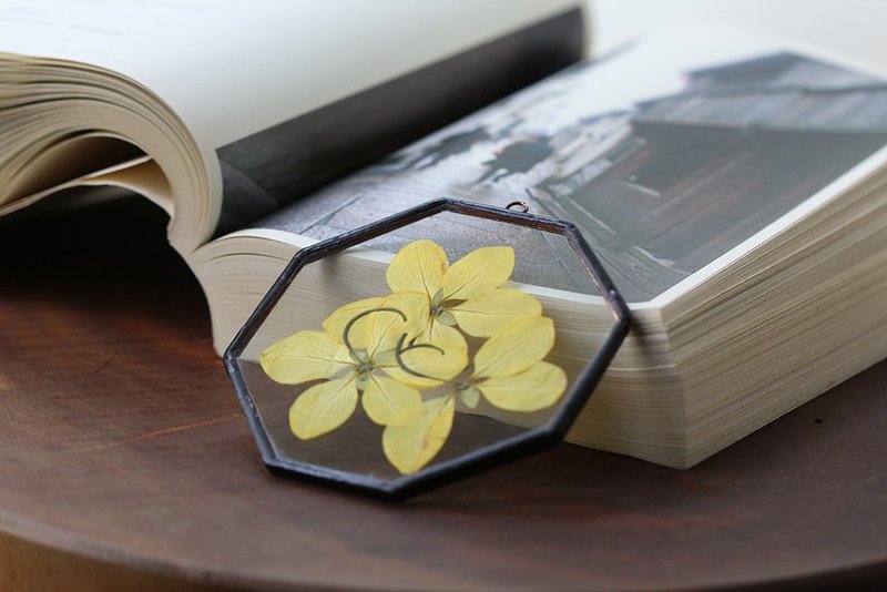 植物图鉴∣阿勃勒金色之恋∣八角玻璃镶崁∣植物标本 - 干燥花/捧花 - 植物．花 