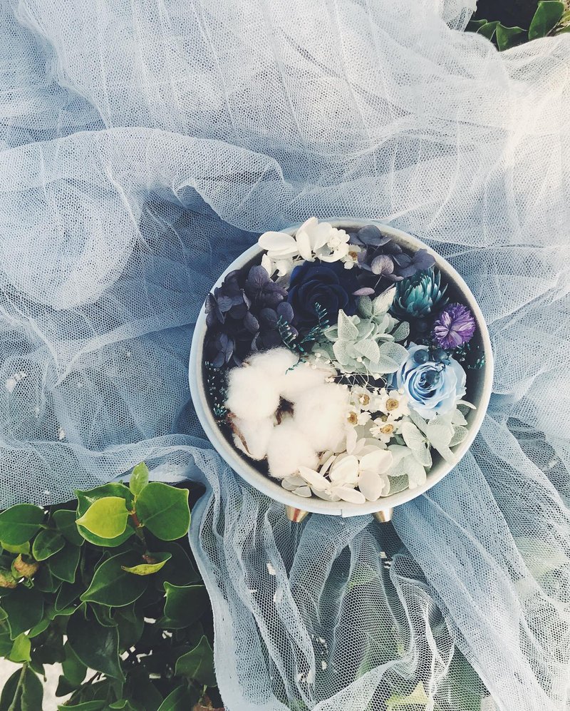 冬日圆舞曲/不凋花盒/可直立-冬日蓝 - 干燥花/捧花 - 植物．花 