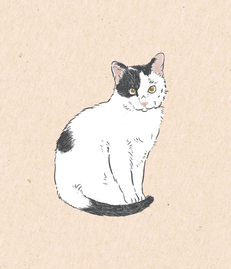 宠物似颜绘 插画订制 猫狗似颜绘 宠物画像 宠物礼物 礼品 纪念品 - 电子手绘真人画像/绘画/插画 - 其他材质 
