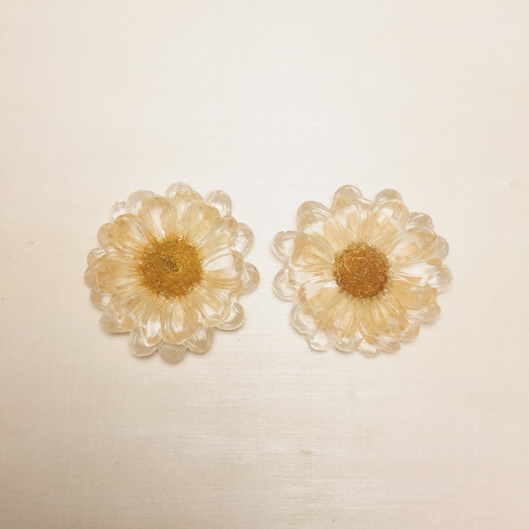 复古透明雏菊浅色押花耳环耳夹 - 耳环/耳夹 - 树脂 透明
