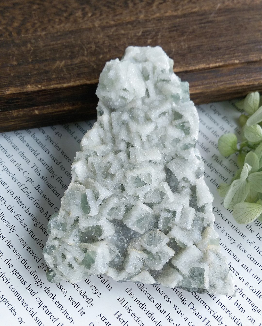 Fluorite 福建产地 绿萤石 砂糖萤石 糖霜 天然矿石 原矿 - 摆饰 - 其他材质 
