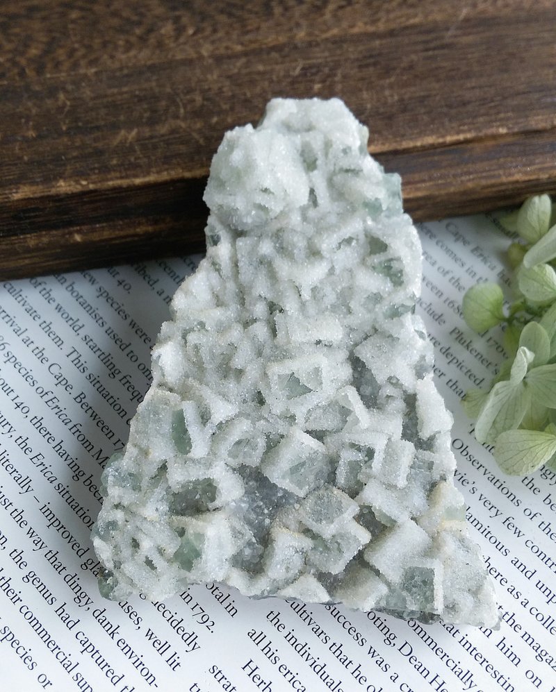 Fluorite 福建产地 绿萤石 砂糖萤石 糖霜 天然矿石 原矿 - 摆饰 - 其他材质 