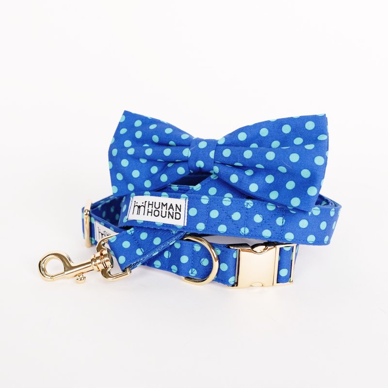 Purple-Pink Chevron - 项圈/牵绳 - 其他材质 蓝色