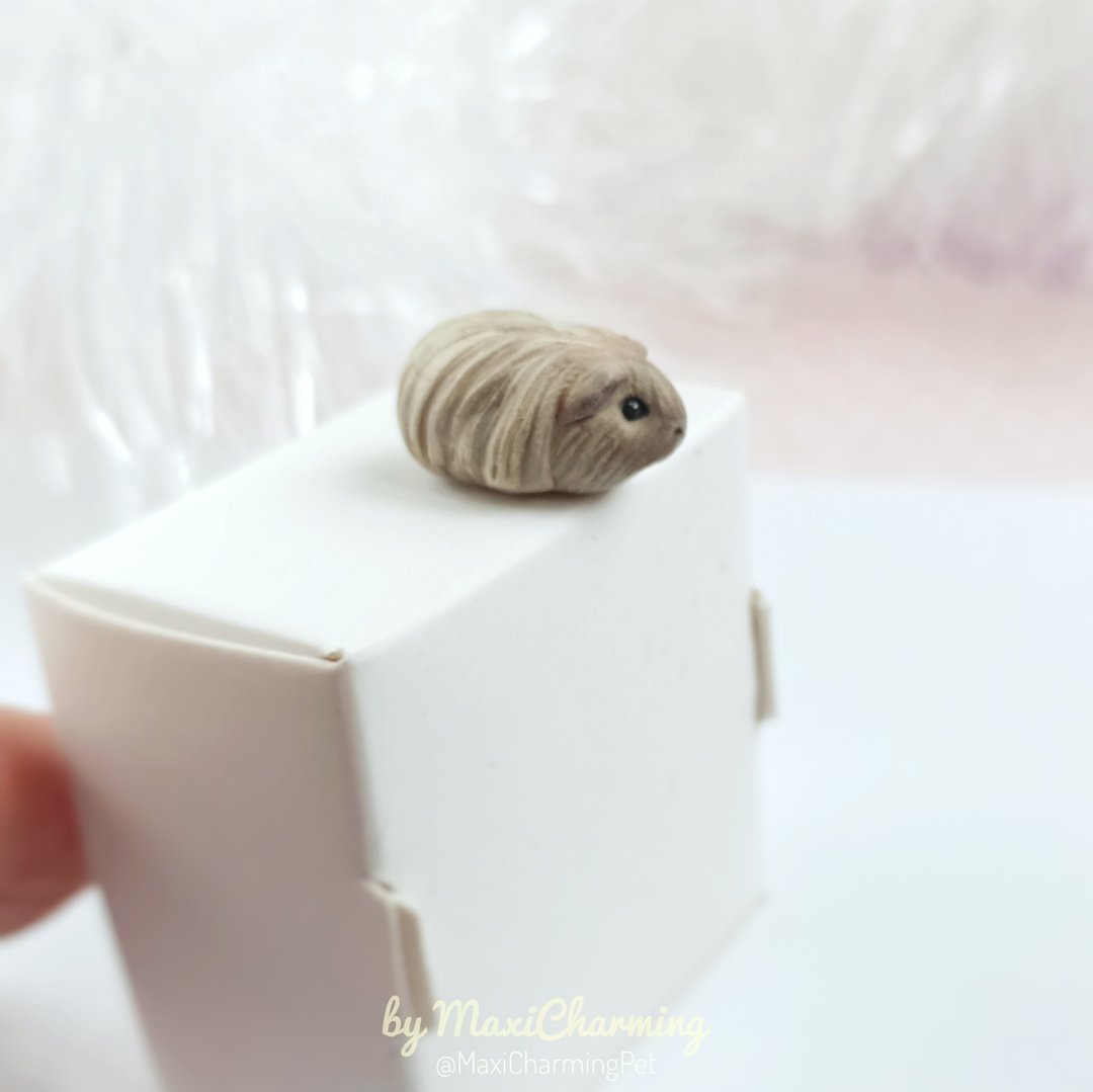 天竺鼠 項鍊 Guinea pig silkie peruvian from photo custom personalized cute necklace - 项链 - 塑料 