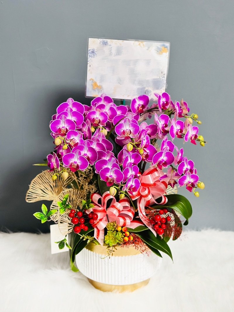 【WS │花束】升迁盆花 开幕花礼 可定制 限双北 - 植栽/盆栽 - 植物．花 