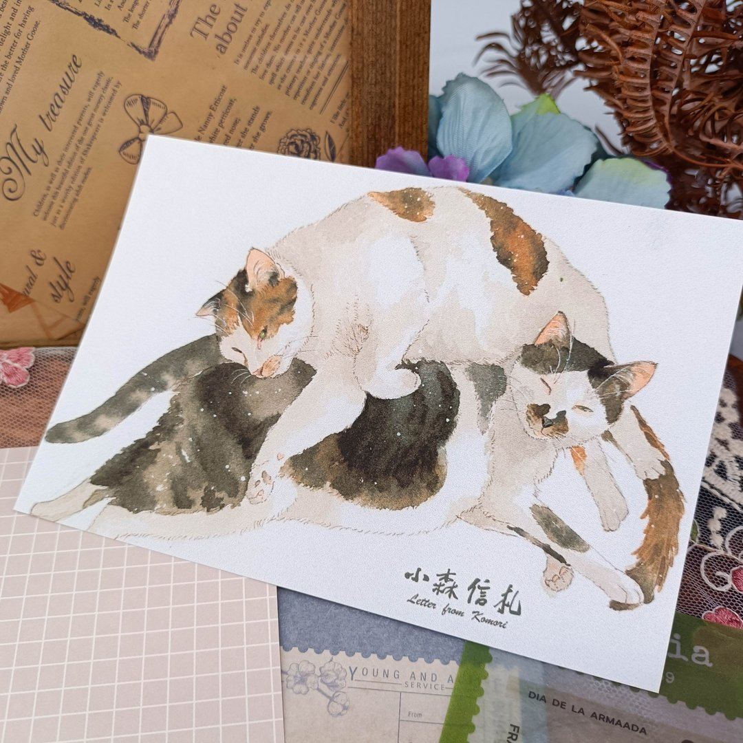 LS149_貓咪明信片_10/明信片 - 卡片/明信片 - 纸 多色