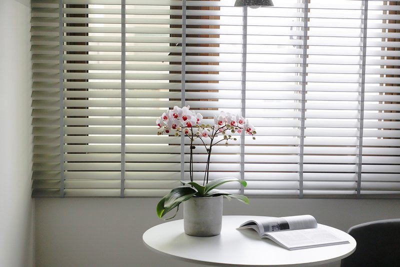 【兰花盆栽】樱花蝴蝶兰盆栽 开幕送礼 升迁送礼 过年送礼 乔迁 - 植栽/盆栽 - 植物．花 粉红色