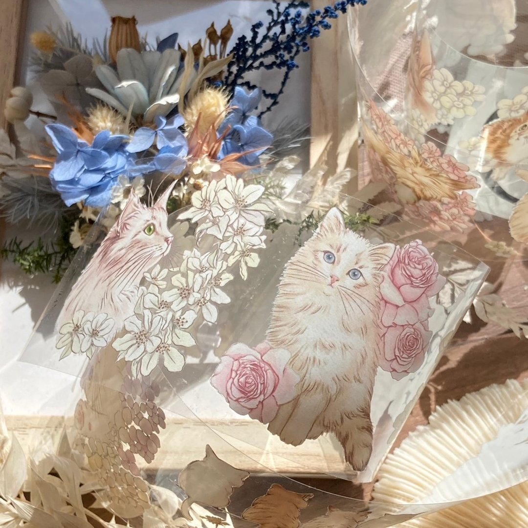 TAP40 花路猫/亮面 PET 胶带/新版 - 割型 Shipped on June 30th - 纸胶带 - 纸 