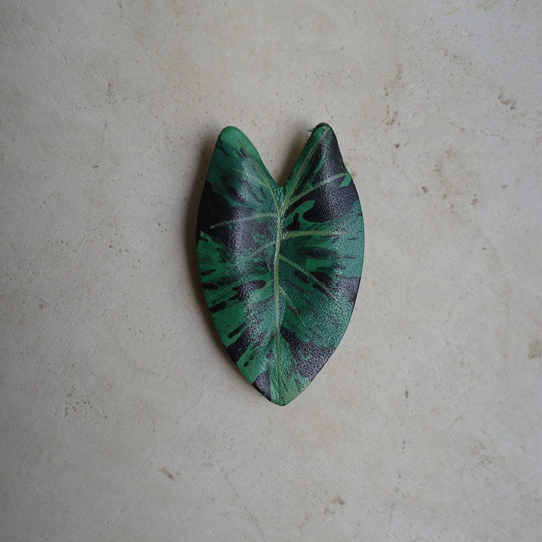 莫西多水芋 Colocasia esculenta Mojito - 摆饰 - 真皮 绿色