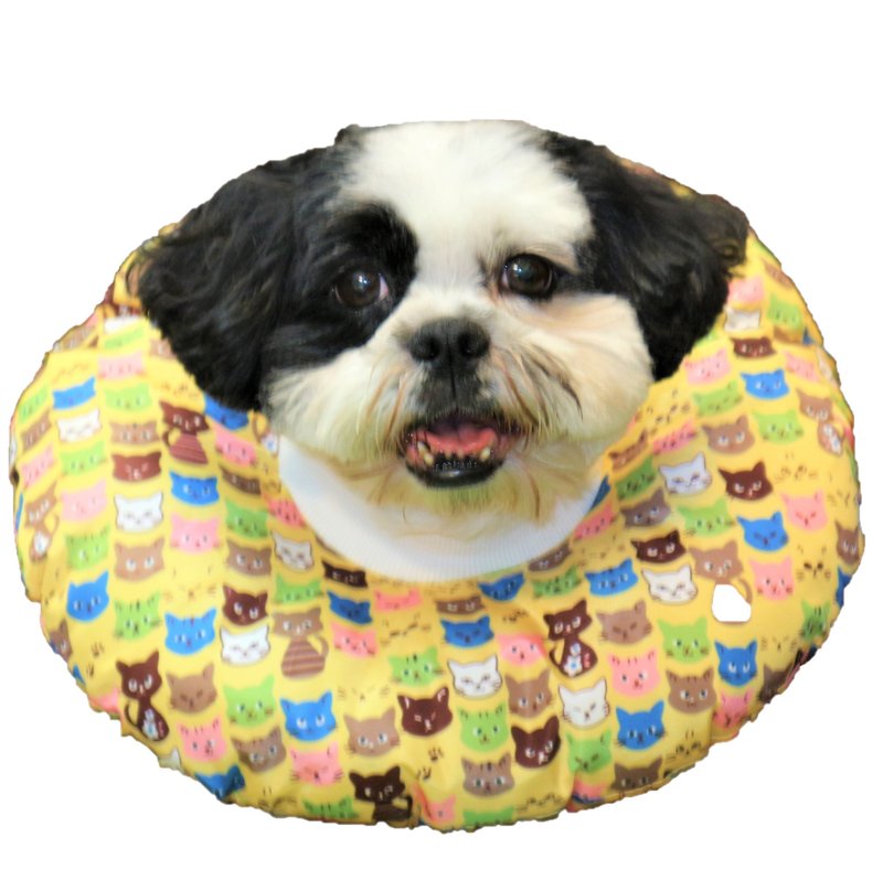 防舔咬项圈-防水可拆洗设计 - 清洁/美容 - 防水材质 