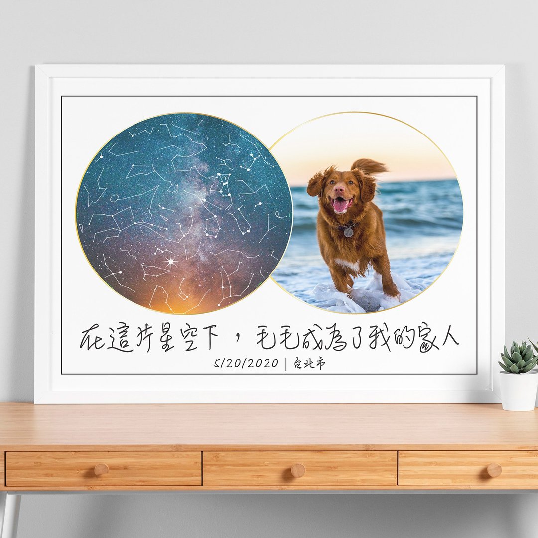 【定制化】与狗狗毛小孩小猫的相遇星空夜晚星空宠物周岁生日礼物 - 其他 - 纸 白色