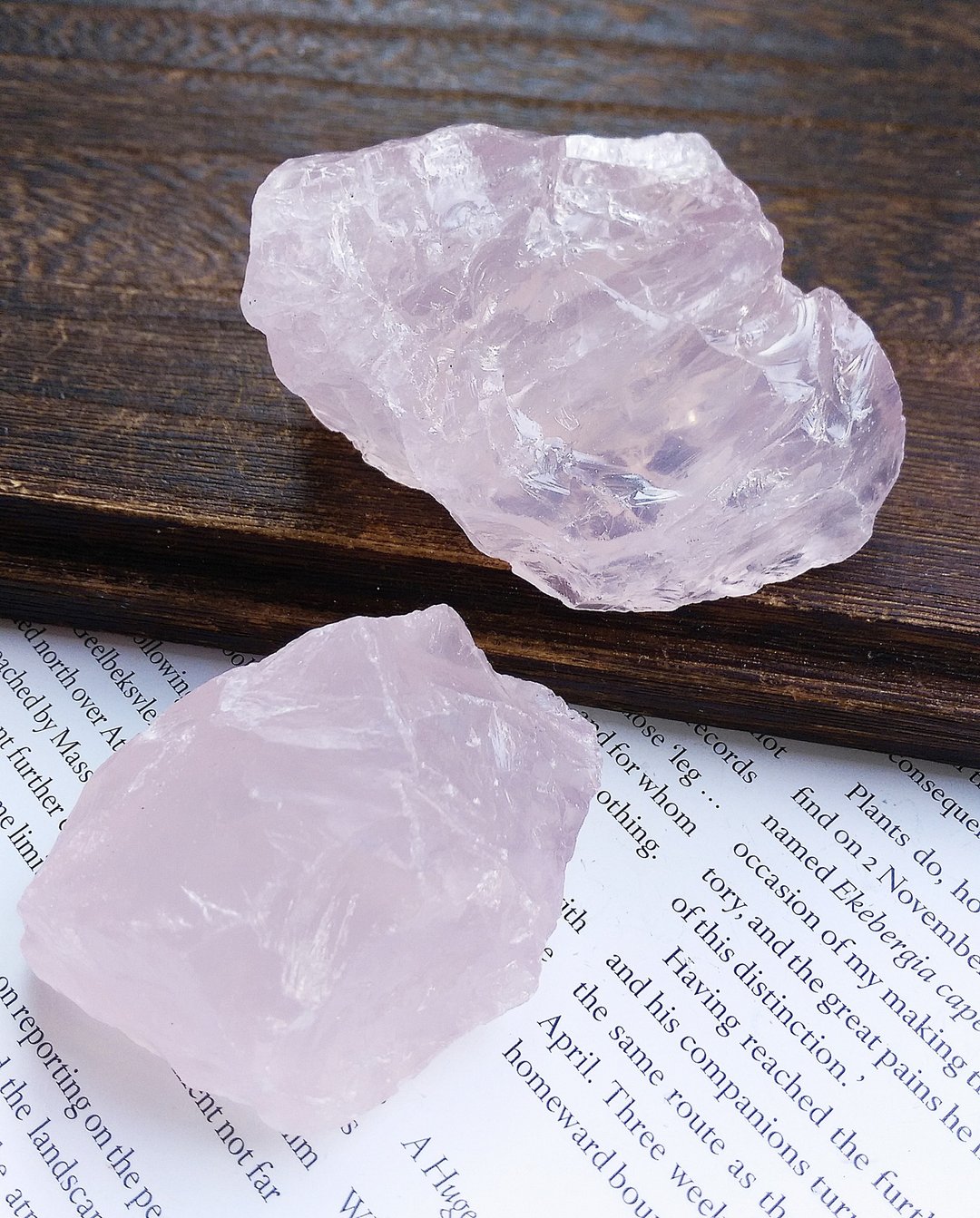 Rose Quartz  莫桑比克产地 天然粉晶  原石 原矿 一组2块 - 摆饰 - 其他材质 