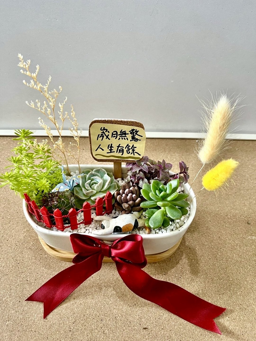 多肉组盆 多肉植物 日式枯山水 三花猫 玳瑁猫 猫奴送礼 猫咪 禅 - 植栽/盆栽 - 植物．花 绿色