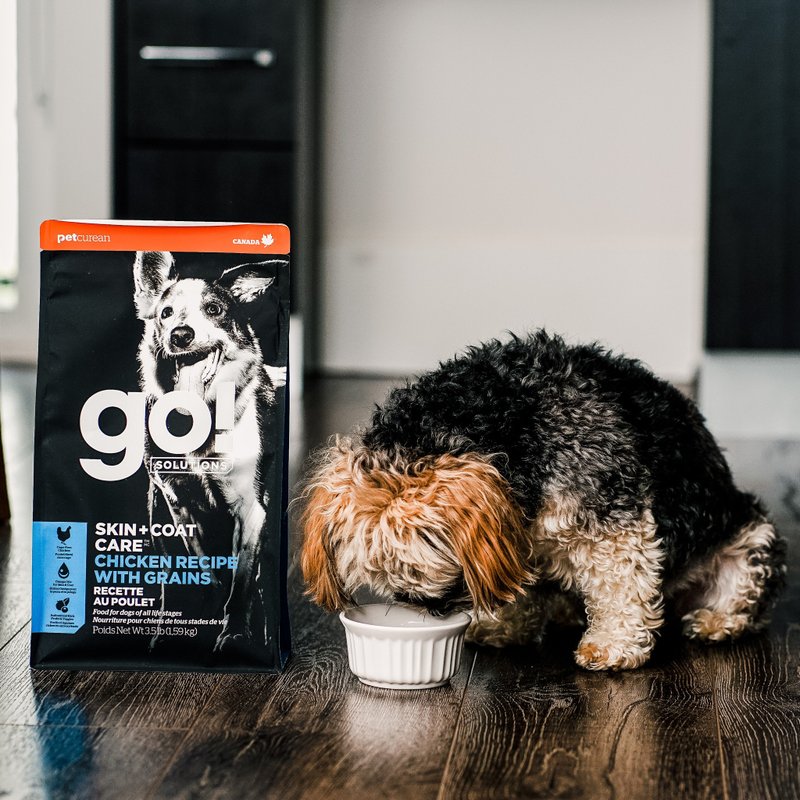 【狗主食】go! 鸡肉蔬果+糙米 全犬 全方位系列 皮毛保健 狗饲料 - 狗罐头/鲜食 - 新鲜食材 