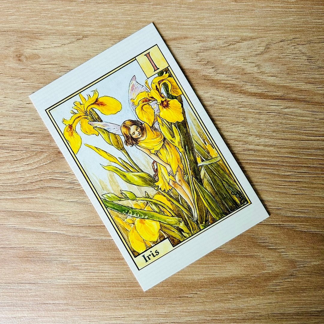 花仙子 字母系列 经典明信片 - Iris/ 鸢尾花 - 卡片/明信片 - 纸 