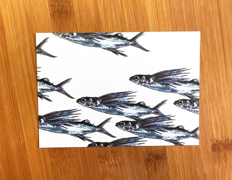 飞鱼明信片 - 卡片/明信片 - 纸 蓝色