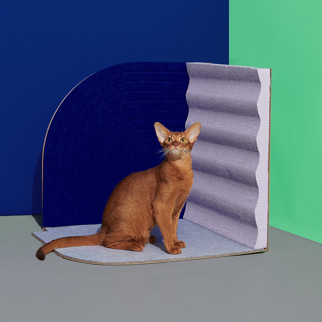 Purrre | 转角立式猫抓板-丝绒蓝 - 抓板/跳台 - 纸 蓝色