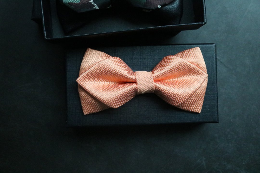 藕粉色鑽石型領結蝴蝶結婚禮伴郎蝴蝶結 - 领结/领巾 - 丝．绢 橘色