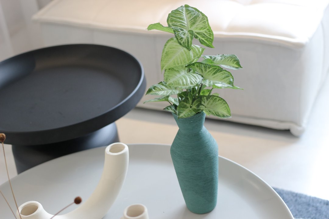 水培植栽│绿精灵合果芋_室内植物 办公室盆栽 店内摆设 - 植栽/盆栽 - 陶 