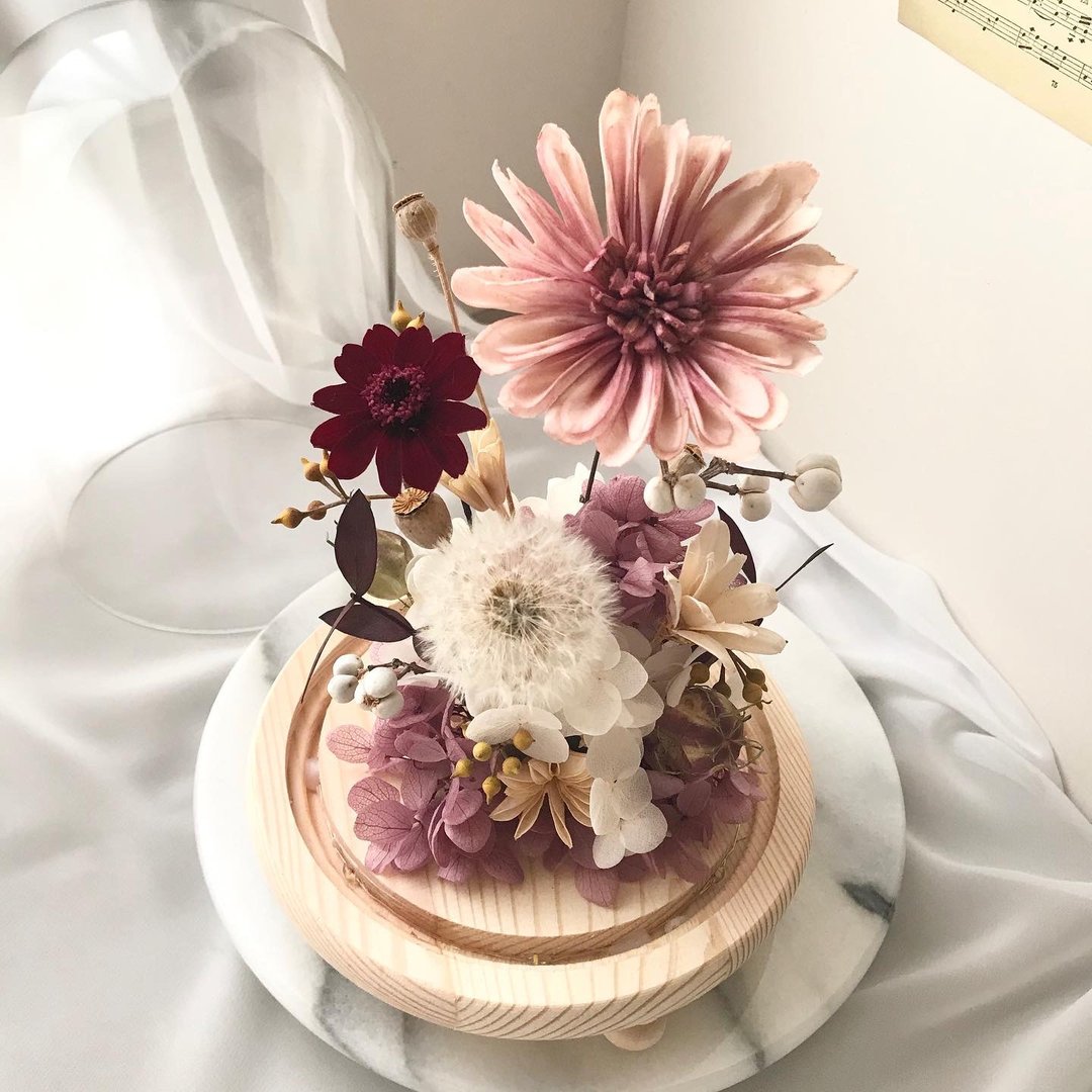 紫红雏菊蒲公英永生花玻璃钟罩 附盒子 情人节生日 周年 升迁 - 干燥花/捧花 - 植物．花 多色
