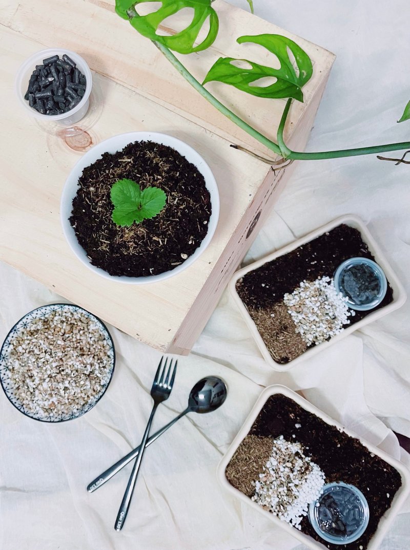 卖花女鹅的植物转骨介质 - 植栽/盆栽 - 其他材质 
