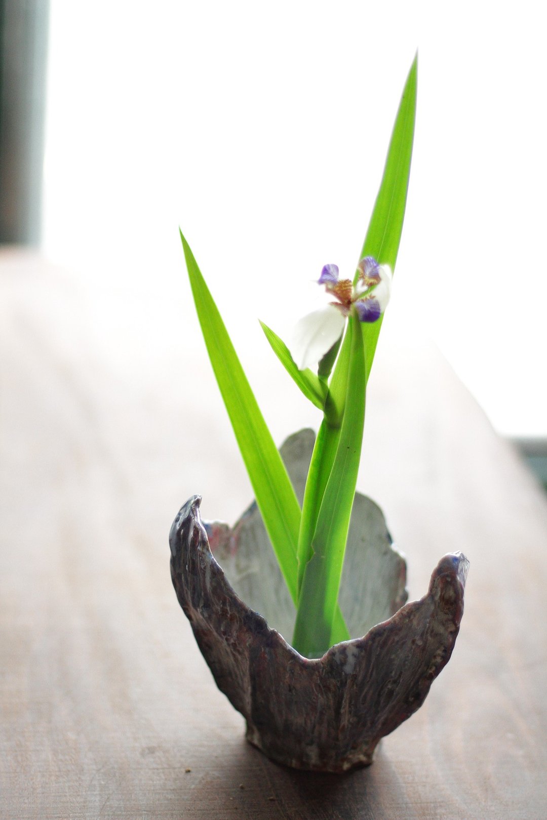 魔幻靛蓝紫手工花器 - 花瓶/陶器 - 陶 蓝色