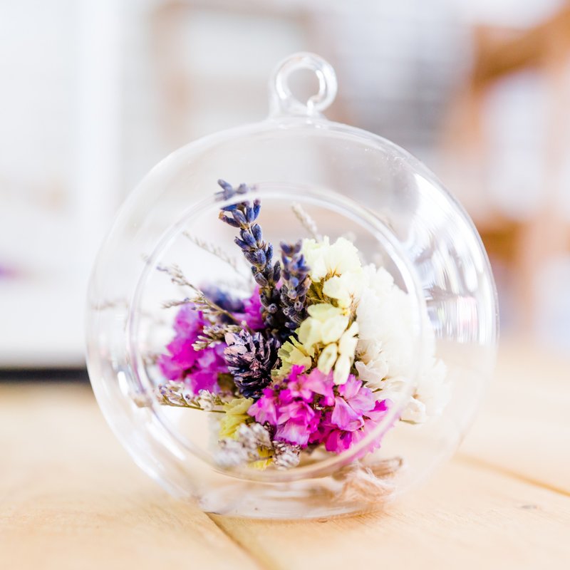 小宇宙干燥花（粉色系） - 植栽/盆栽 - 玻璃 粉红色