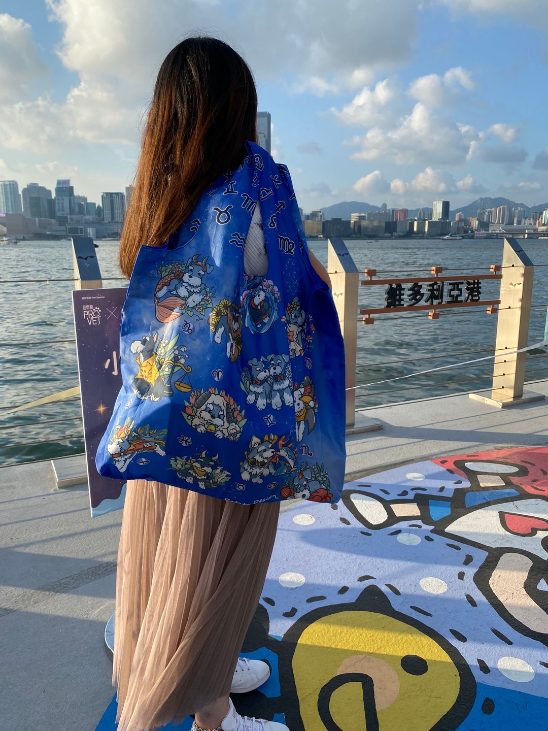史纳莎 12星座环保袋 - 手提包/手提袋 - 聚酯纤维 