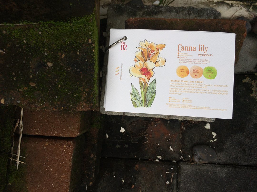 【canna lily flower 】【calendar card】【Pinkoi Xmas 2022】【ของขวัญคริสต์มาส】 - 卡片/明信片 - 纸 
