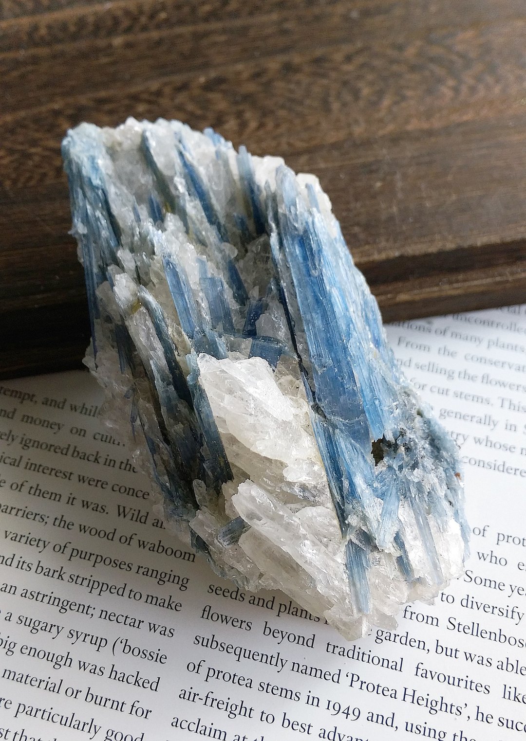 Kyanite 安徽产地 蓝晶石 石英共生矿 天然矿石 原矿 - 摆饰 - 其他材质 