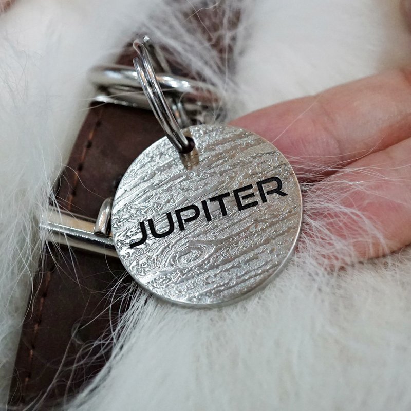 个性化宠物牌 定制狗牌猫牌 项圈 Jupiter 狗牌 - 项圈/牵绳 - 不锈钢 银色