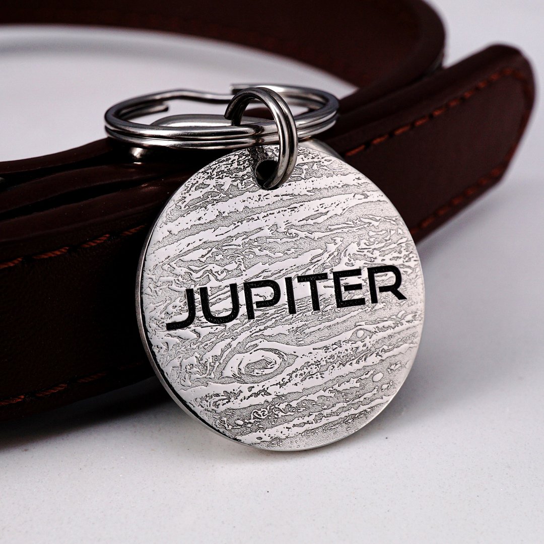 个性化宠物牌 定制狗牌猫牌 项圈 Jupiter 狗牌 - 项圈/牵绳 - 不锈钢 银色