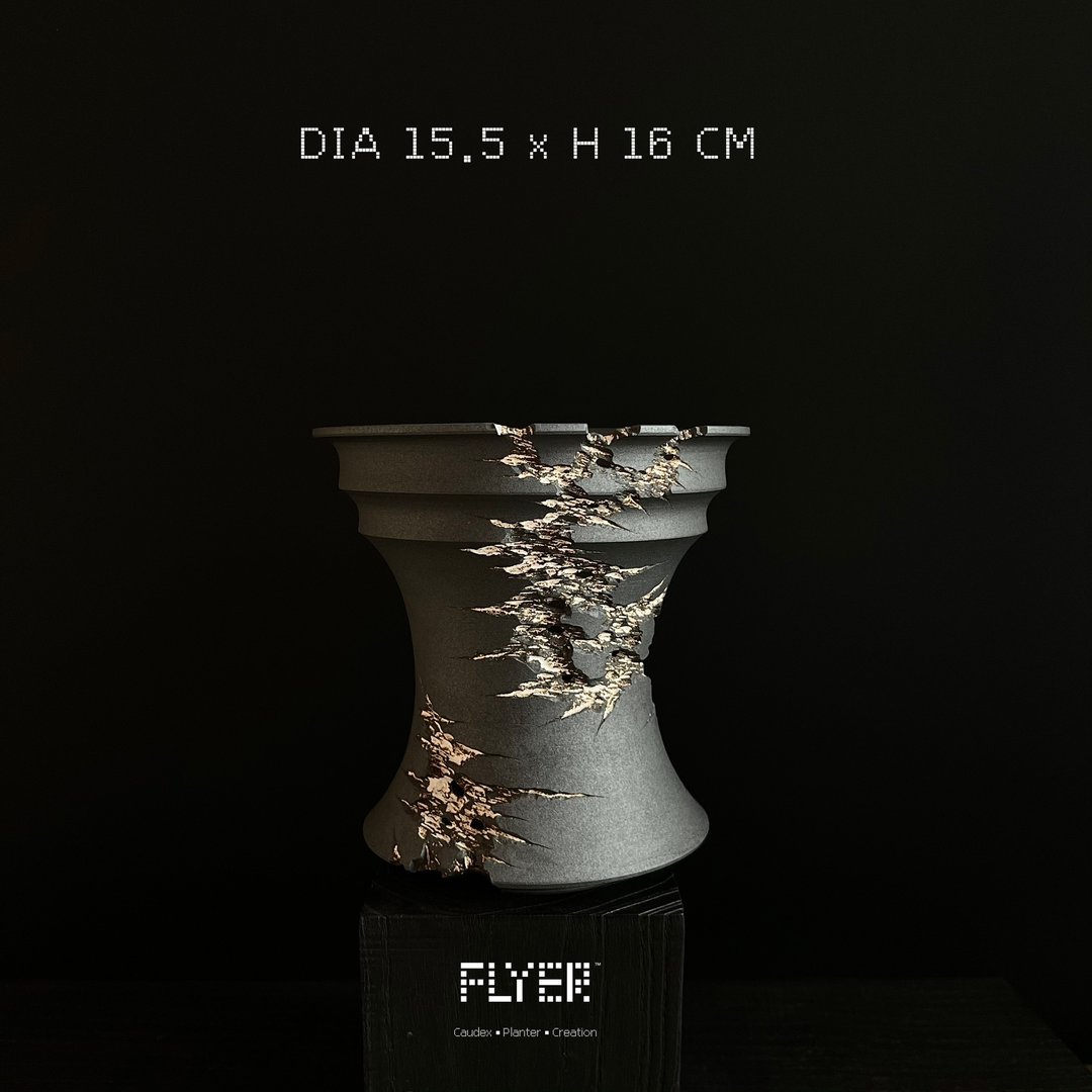 FLYER裂纹系列 块根多肉植物陶盆器 龙舌兰象牙宫盆器 - 花瓶/陶器 - 陶 