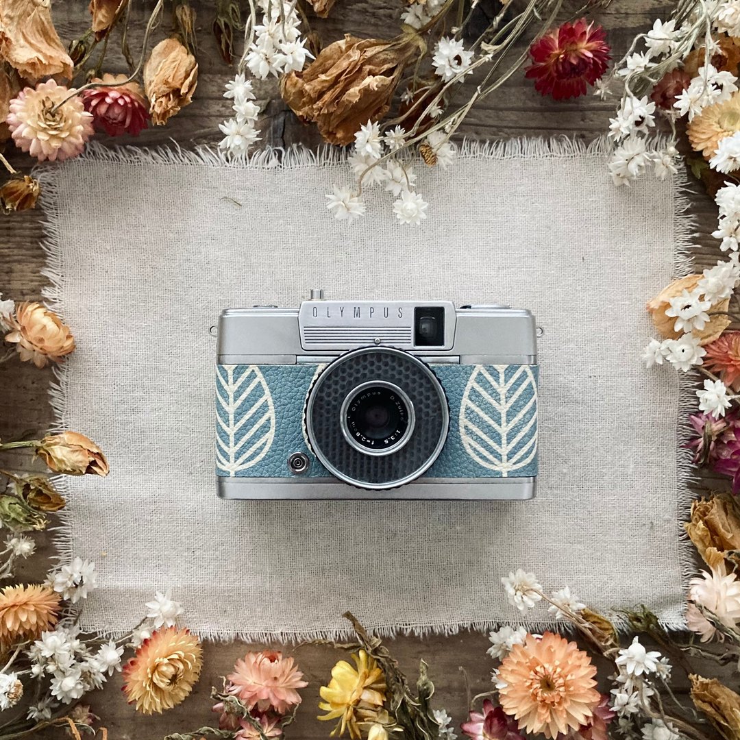 [修复&定制化&预览]OLYMPUS PEN EE - 相机 - 其他金属 银色