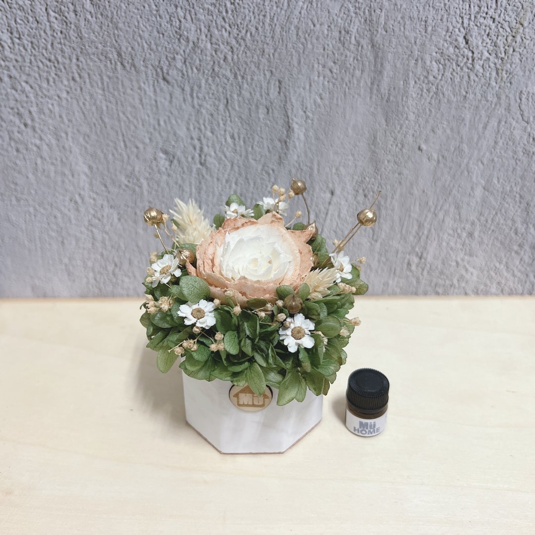 索拉花香氛小盆栽 干燥花 香氛石 附1ml香精油 - 干燥花/捧花 - 植物．花 橘色