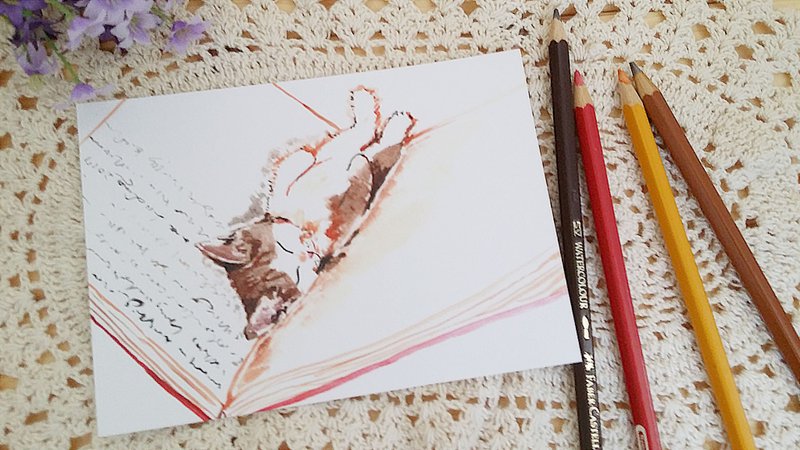 猫睡样系列－就是睡。明信片 - 卡片/明信片 - 纸 多色