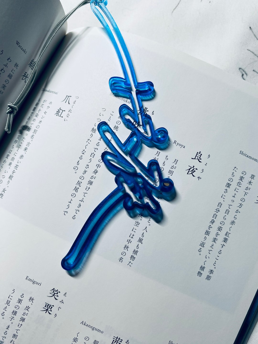 手写文字书签 - 胸针 - 塑料 蓝色