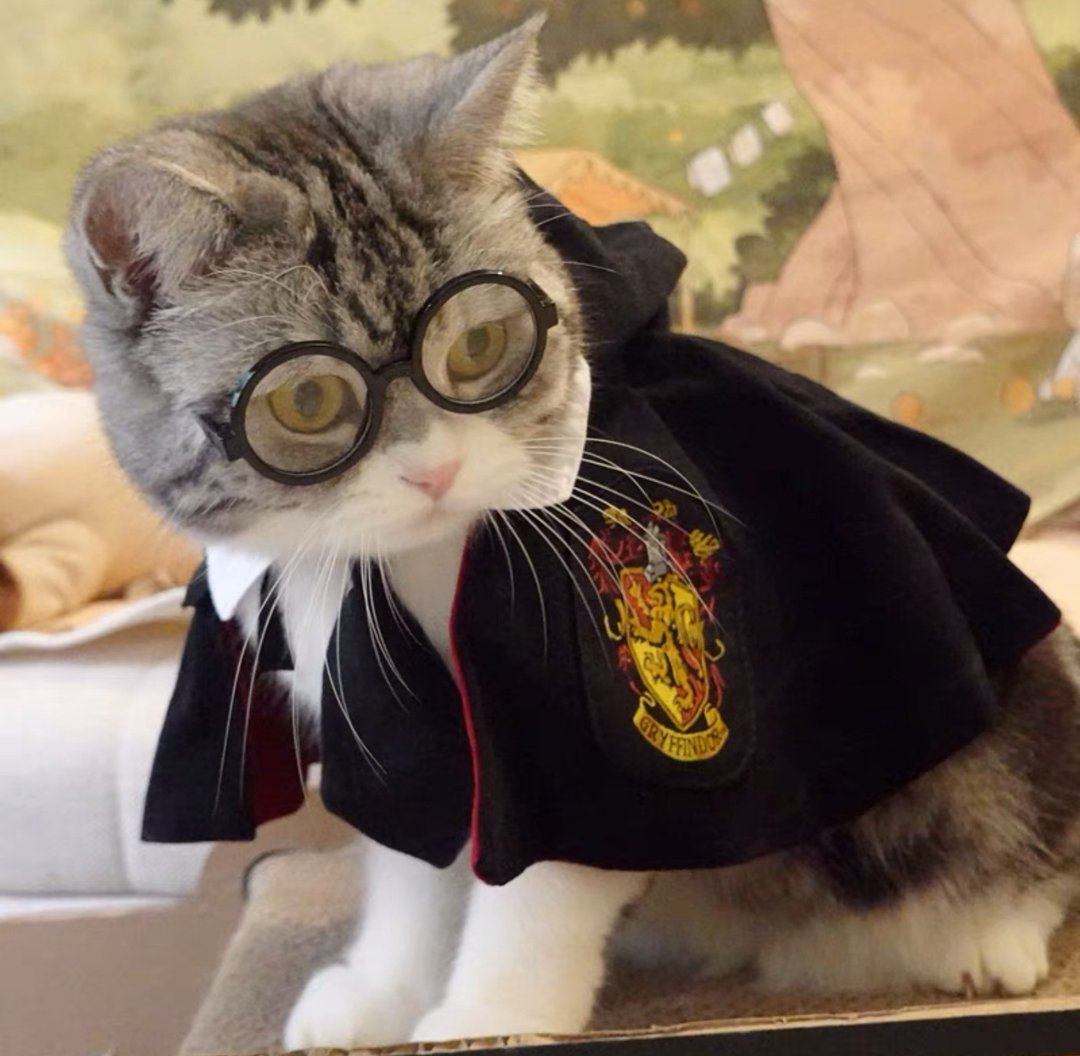 DOG&CAT Halloween Shirts Funny Cat Wizard Costume Cloak Red and Green - 衣/帽 - 棉 红色