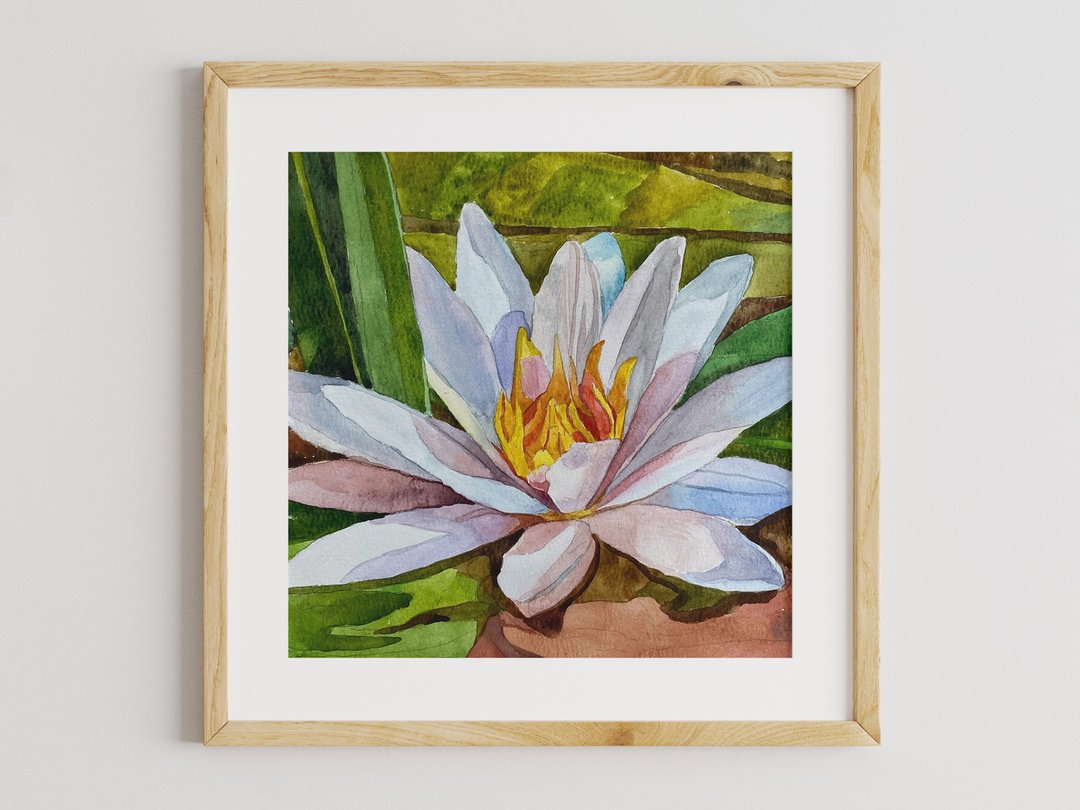 白睡莲 - 荷花画，水彩艺术，花卉画荷花 - 墙贴/壁贴 - 纸 多色