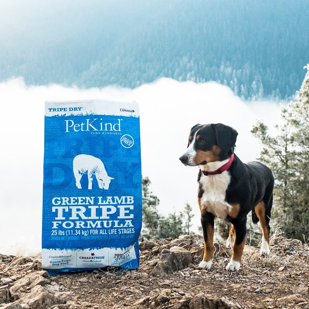 【狗主食】PetKind 野胃 火鸡 天然鲜草肚狗粮 狗饲料 皮毛保健 - 狗罐头/鲜食 - 新鲜食材 