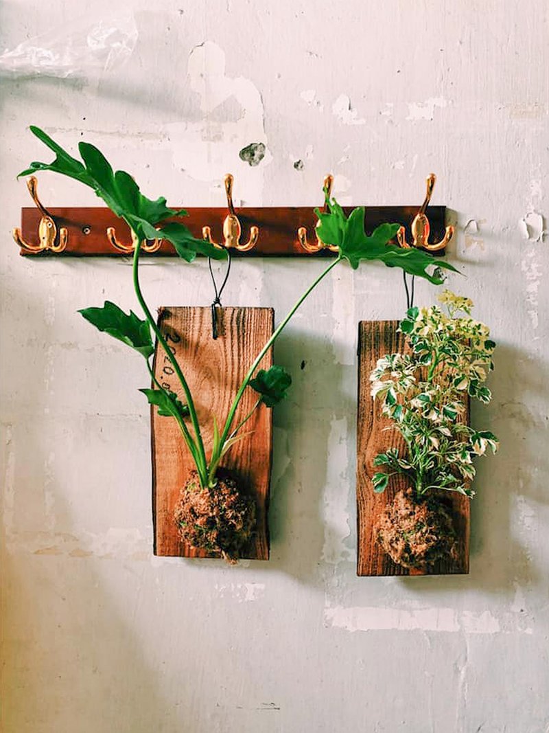 【可来图定制】绿上板・开幕送礼/创意门牌/质感告示牌/营业挂牌 - 植栽/盆栽 - 植物．花 卡其色