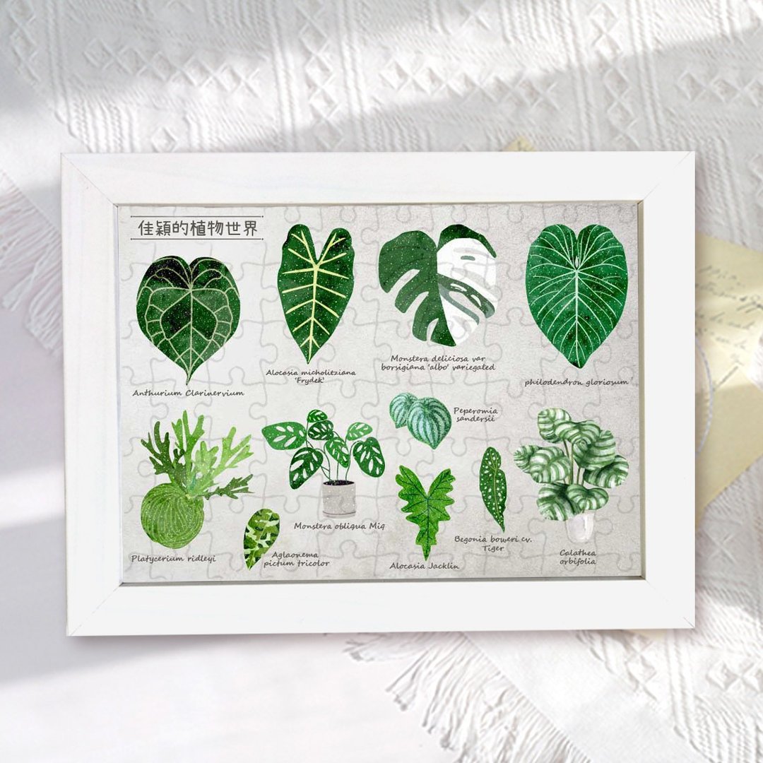 定制化 植物 拼图 相框 观叶植物 - 拼图 - 纸 多色